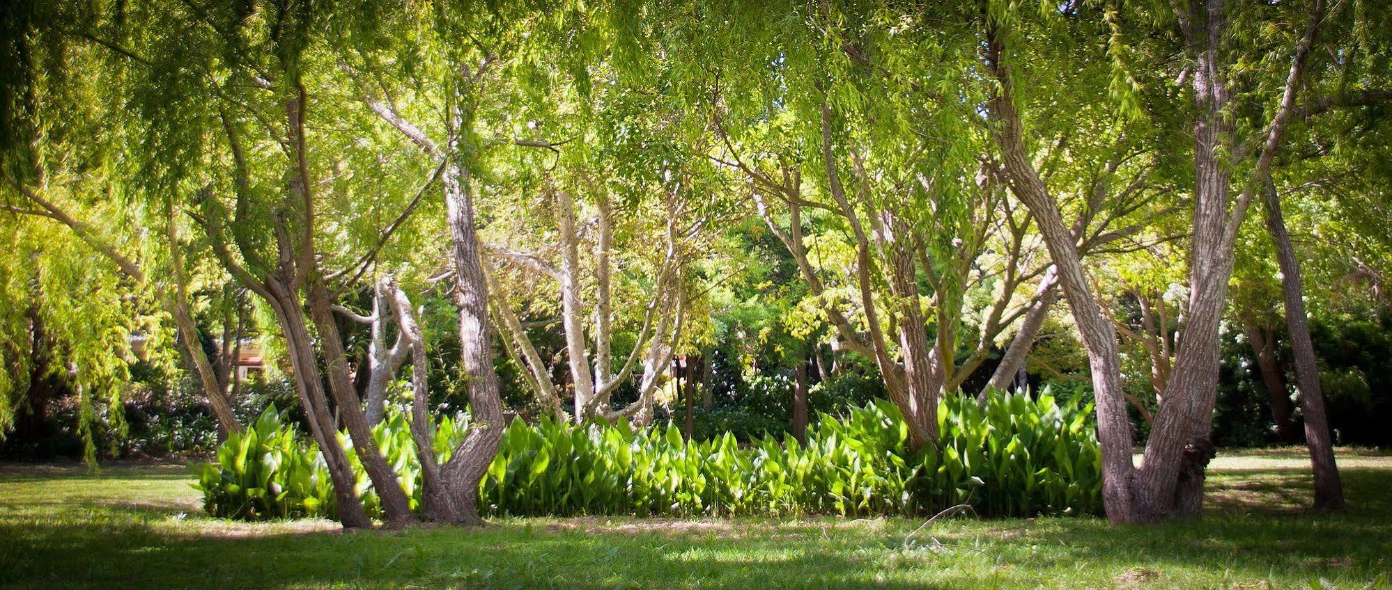 Willowbrook Country House Cape Town Exterior photo